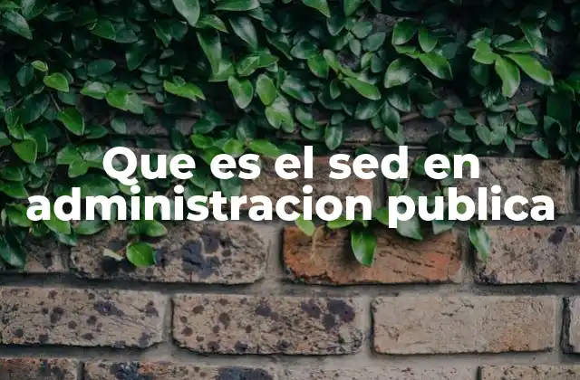 Que es el Sed en Administracion Publica 2 El papel del SED en la gestión de recursos gubernamentales