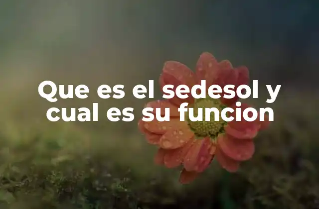 Que es el Sedesol y Cual es Su Funcion