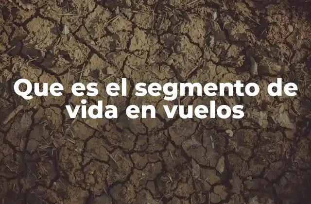 Que es el Segmento de Vida en Vuelos