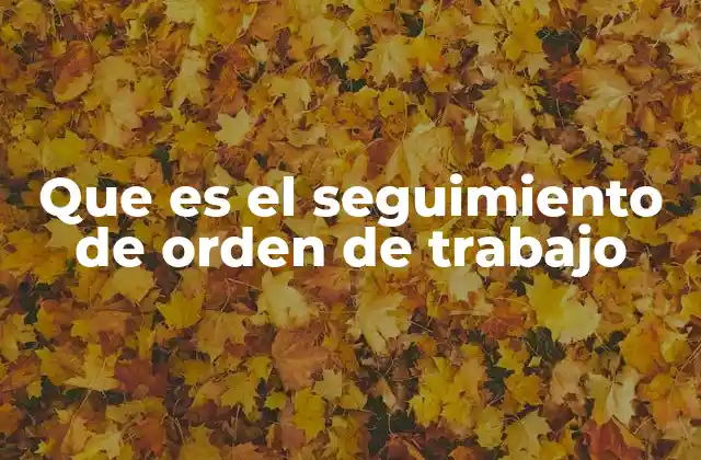 Que es el Seguimiento de Orden de Trabajo