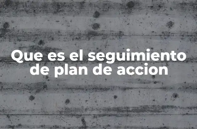 Que es el Seguimiento de Plan de Accion