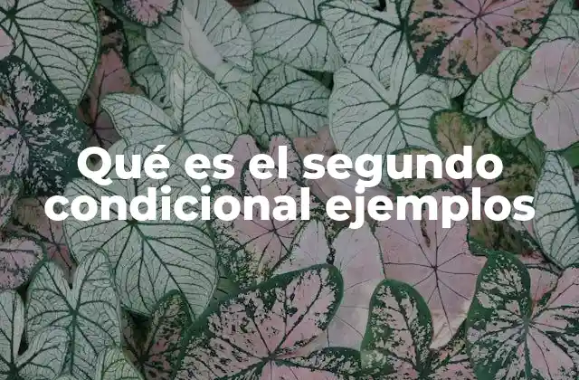 Qué es el Segundo Condicional Ejemplos