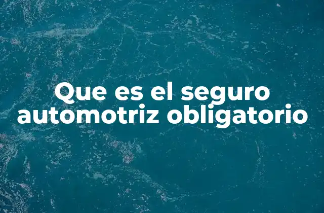 Que es el Seguro Automotriz Obligatorio