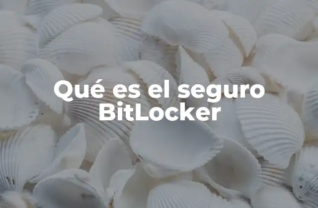 Qué es el Seguro Bitlocker