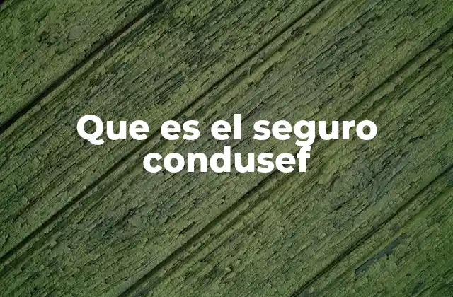 Que es el Seguro Condusef