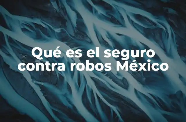 Qué es el Seguro contra Robos México