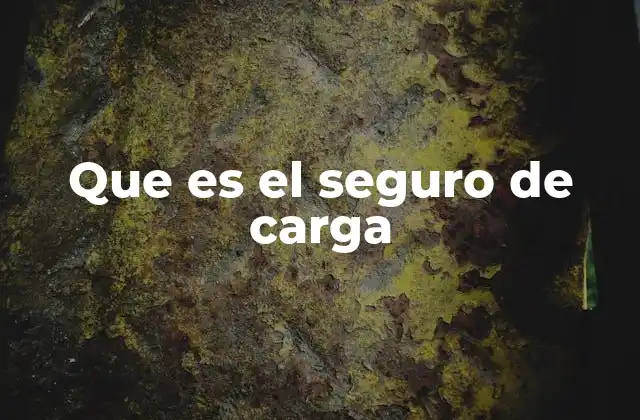 Que es el Seguro de Carga 2 La importancia de proteger tus bienes en tránsito