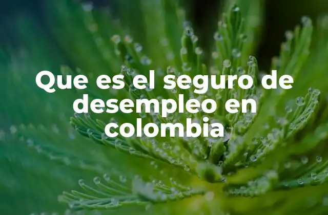 Que es el Seguro de Desempleo en Colombia