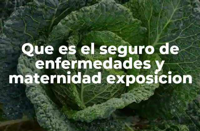 Que es el Seguro de Enfermedades y Maternidad Exposicion