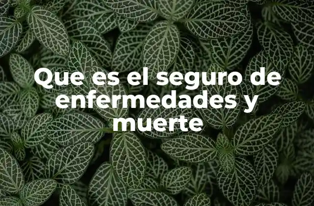 Que es el Seguro de Enfermedades y Muerte