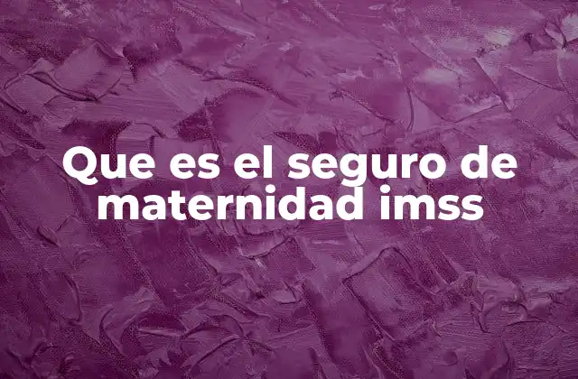 Que es el Seguro de Maternidad Imss