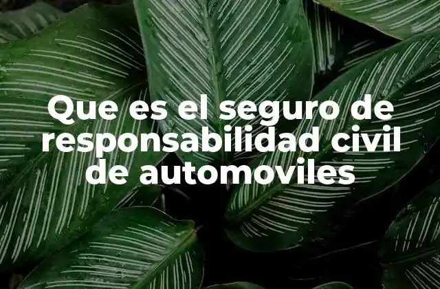 Que es el Seguro de Responsabilidad Civil de Automoviles