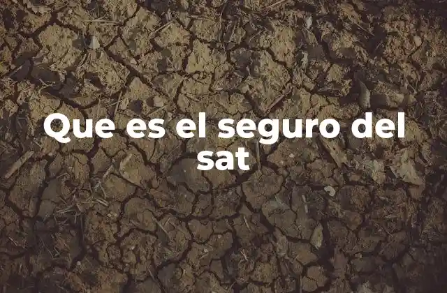 Que es el Seguro Del Sat