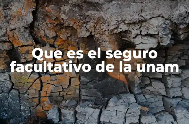 Que es el Seguro Facultativo de la Unam