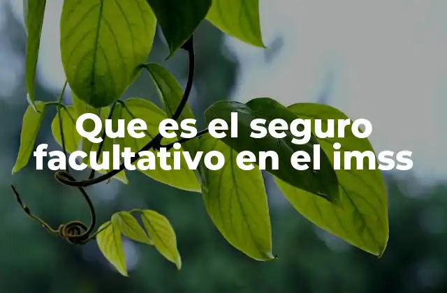 Cómo funciona el seguro facultativo IMSS sin mencionar directamente la palabra clave