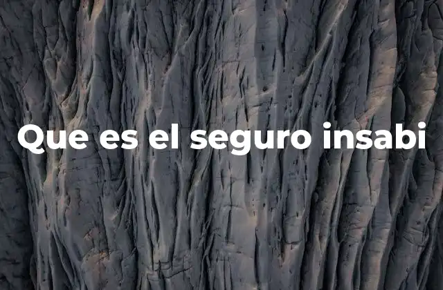 Que es el Seguro Insabi