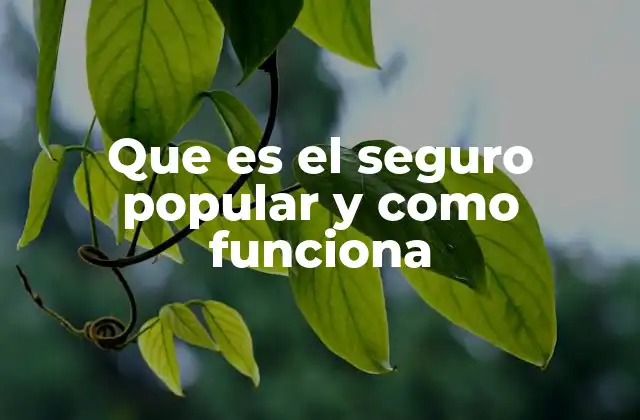 Que es el Seguro Popular y como Funciona