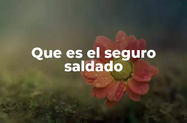 Que es el Seguro Saldado