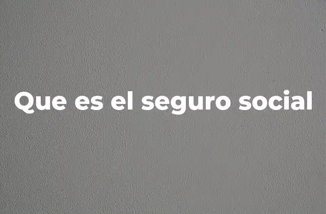 Que es el Seguro Social