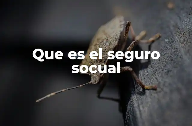 Que es el Seguro Socual 2 El rol del seguro social en la vida cotidiana