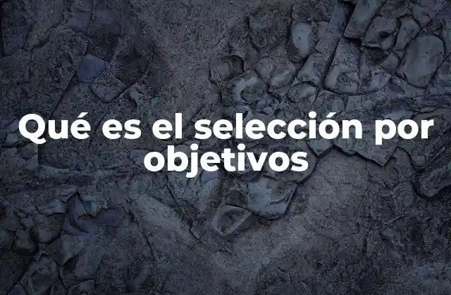 Qué es el Selección por Objetivos 2 La importancia de alinear decisiones con metas específicas