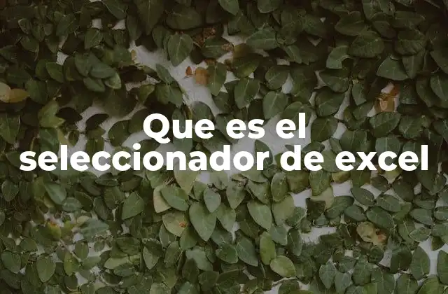 Que es el Seleccionador de Excel