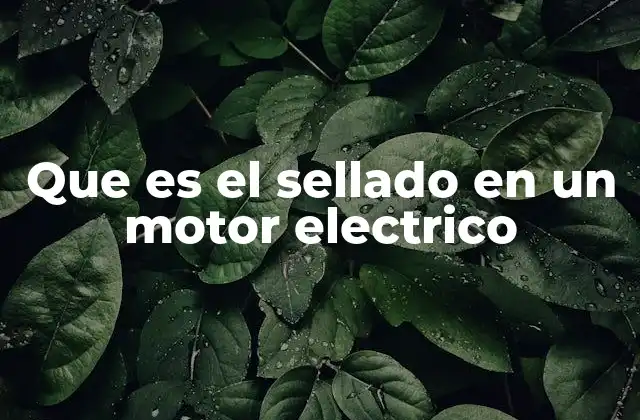 La importancia del sellado en el mantenimiento del motor eléctrico