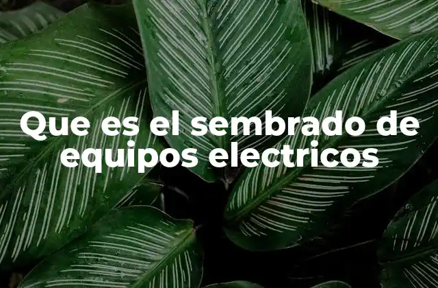 Que es el Sembrado de Equipos Electricos 2 ¿Cómo se prepara una estructura para el sembrado eléctrico?