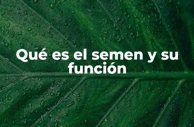 Qué es el Semen y Su Función 2 La importancia del semen en la reproducción humana