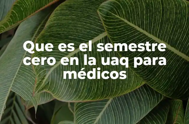 Que es el Semestre Cero en la Uaq para Médicos