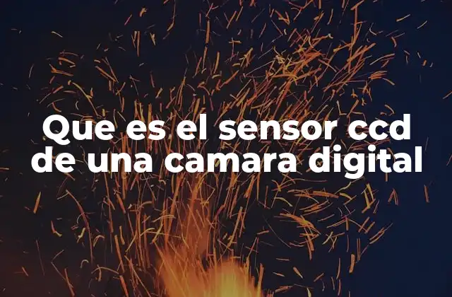 Que es el Sensor Ccd de una Camara Digital