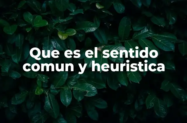 Que es el Sentido Comun y Heuristica