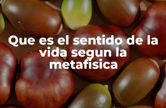 Que es el Sentido de la Vida Segun la Metafisica 2 El sentido de la vida más allá de lo material