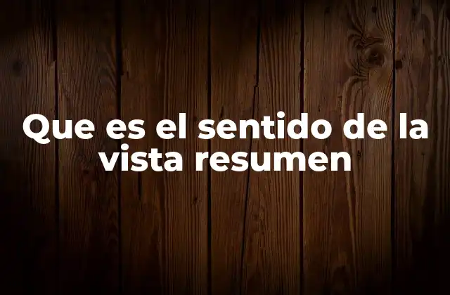 Que es el Sentido de la Vista Resumen