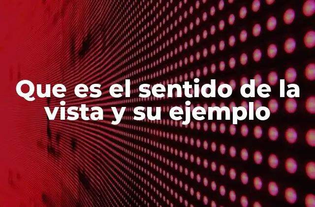 Que es el Sentido de la Vista y Su Ejemplo
