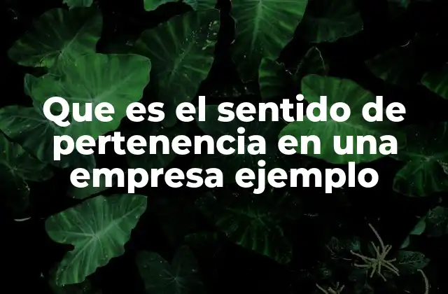 Que es el Sentido de Pertenencia en una Empresa Ejemplo