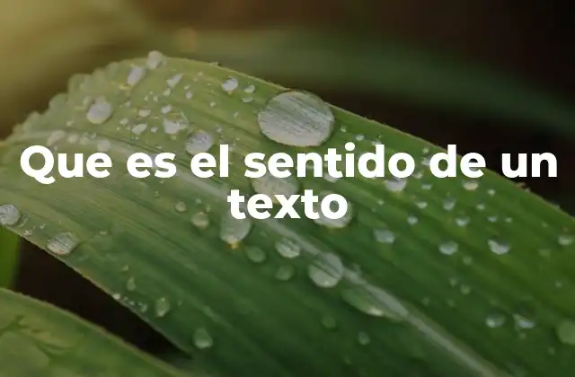Que es el Sentido de un Texto