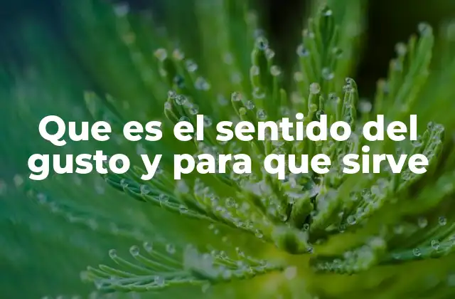 Que es el Sentido Del Gusto y para que Sirve 2 El papel sensorial en la percepción de los alimentos