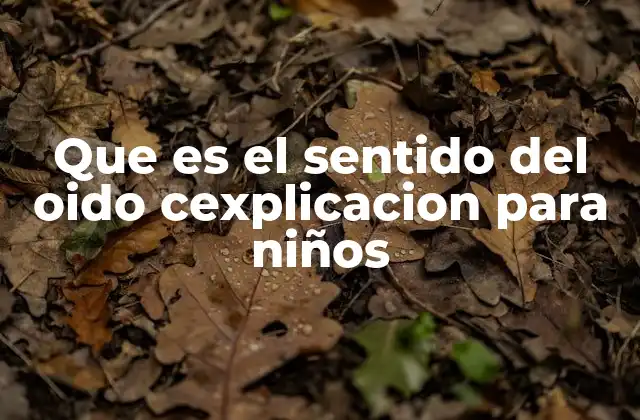 Que es el Sentido Del Oido Cexplicacion para Niños