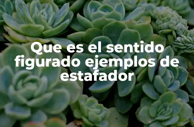 Que es el Sentido Figurado Ejemplos de Estafador