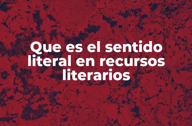Que es el Sentido Literal en Recursos Literarios