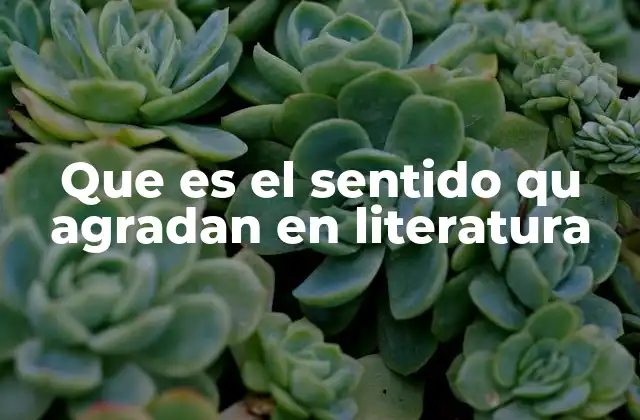 Que es el Sentido Qu Agradan en Literatura