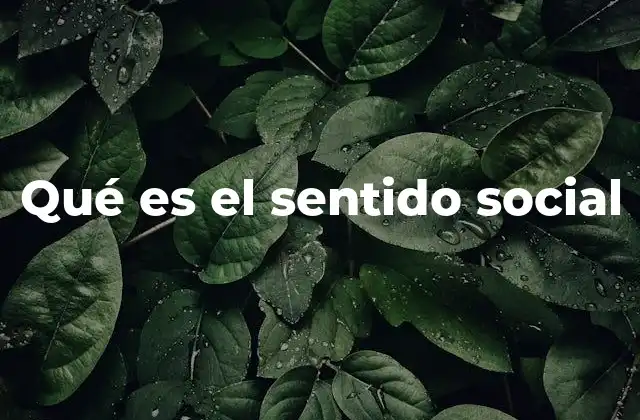 Qué es el Sentido Social