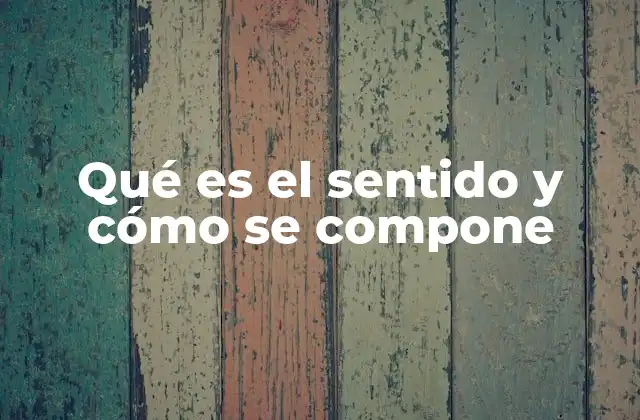 Qué es el Sentido y Cómo Se Compone