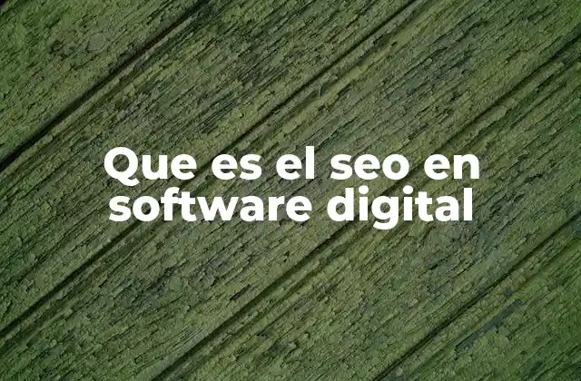 Que es el Seo en Software Digital