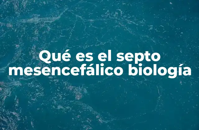 Qué es el Septo Mesencefálico Biología