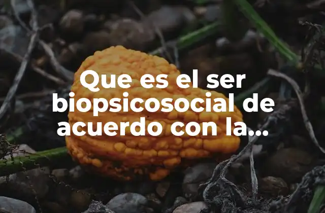 Que es el Ser Biopsicosocial de Acuerdo con la Psicologia