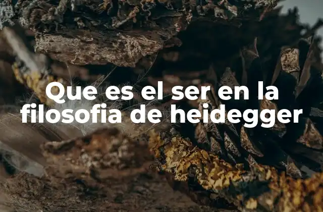 Que es el Ser en la Filosofia de Heidegger