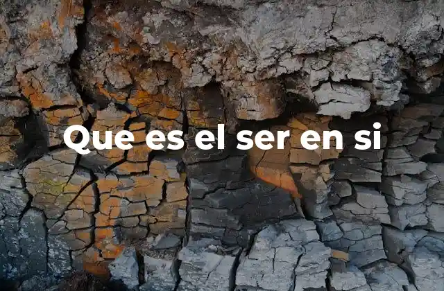 Que es el Ser en Si