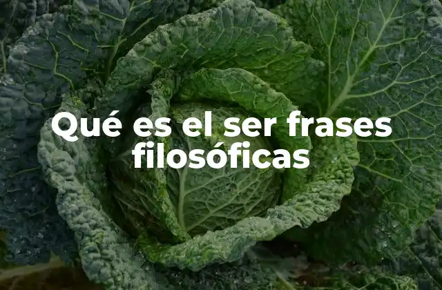 Qué es el Ser Frases Filosóficas